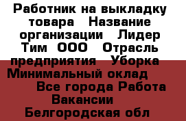 Работник на выкладку товара › Название организации ­ Лидер Тим, ООО › Отрасль предприятия ­ Уборка › Минимальный оклад ­ 28 200 - Все города Работа » Вакансии   . Белгородская обл.